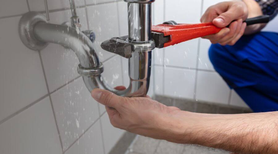 Professional Leak Detection services in Webster, IA
